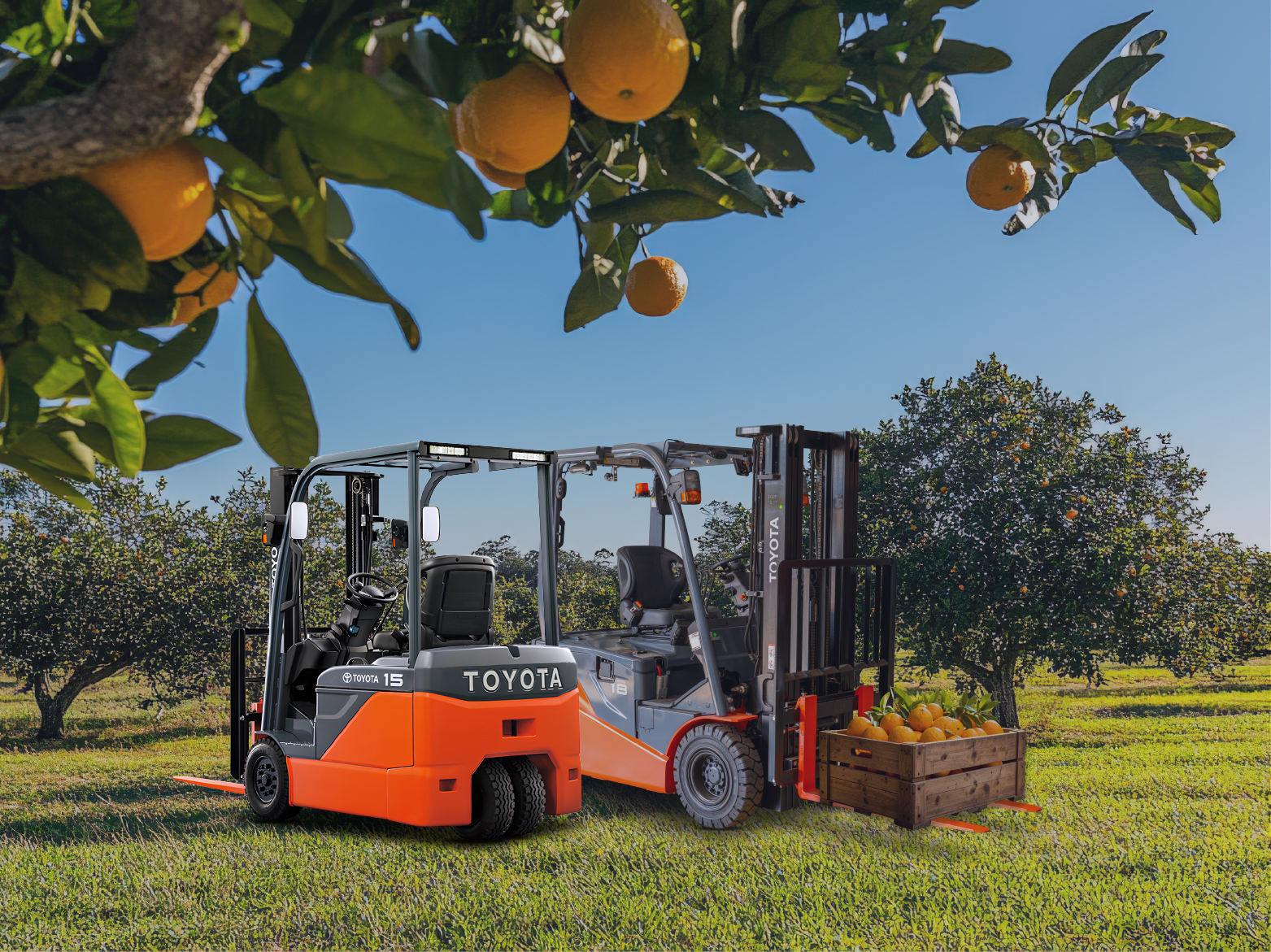 Connected cold-store fleets an operational advantage for KZN citrus farmers